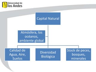 Capital Natural

Atmósfera, los
océanos,
ambiente global

Calidad de
Agua, Aire,
Suelos

Diversidad
Biológica

Stock de peces,
bosques,
minerales

 