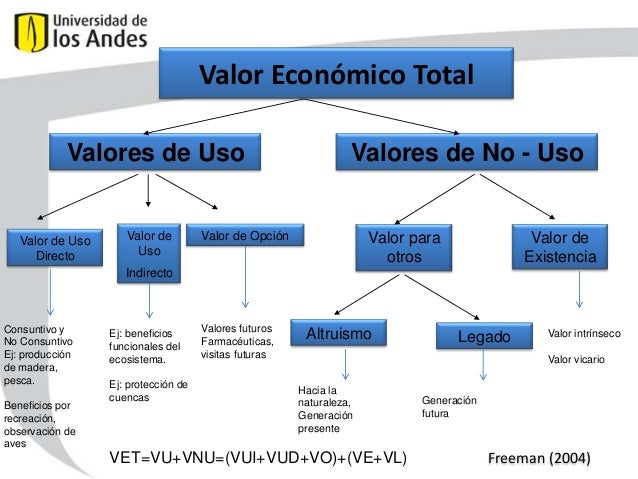 Stock options valor economico