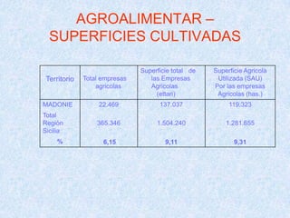 AGROALIMENTAR –
  SUPERFICIES CULTIVADAS

                               Superficie total de   Superficie Agricola
 Territorio   Total empresas      las Empresas        Utilizada (SAU)
                  agricolas       Agricolas          Por las empresas
                                    (ettari)          Agricolas (has.)
MADONIE            22.469            137.037              119.323
Total
Regiòn            365.346           1.504.240            1.281.655
Sicilia
     %              6,15               9,11                 9,31
 