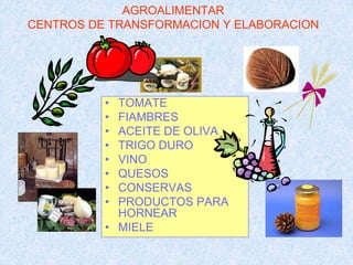 AGROALIMENTAR
CENTROS DE TRANSFORMACION Y ELABORACION




          • TOMATE
          • FIAMBRES
          • ACEITE DE OLIVA
          • TRIGO DURO
          • VINO
          • QUESOS
          • CONSERVAS
          • PRODUCTOS PARA
            HORNEAR
          • MIELE
 