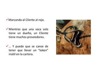 Nunca usted le debió tanto a unos pocos:Es más que probable que a lo sumo, el 33% de sus Clientes sean los que realmente cuentan para calcular sus beneficios.“Es vital tener algún tipo de tarjeta para el miembro del club”MITO4