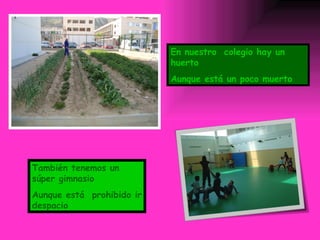 En nuestro  colegio hay un huerto Aunque está un poco muerto También tenemos un súper gimnasio Aunque está  prohibido ir despacio 