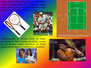 3- LOS DEPORTES DE ADVERSARIOEl concepto de deporte de adversario es aplicable de forma genérica a las practicas fisicodeportivas en las que se enfrentan dos jugadores en disputa de una acción,  determinada, con la finalidad de vencer al contrario Este tipo de deportes se desarrollan en un marco  de incertidumbre producida por una oposición inteligente de un contrario e incorporan   aspecto característicos de los deportes individuales y de los deportes colectivos. 