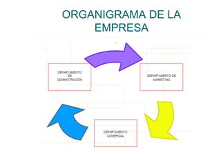 ORGANIGRAMA DE LA
    EMPRESA
 