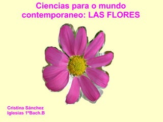 Ciencias para o mundo
contemporaneo: LAS FLORES
Cristina Sánchez
Iglesias 1ºBach.B
 