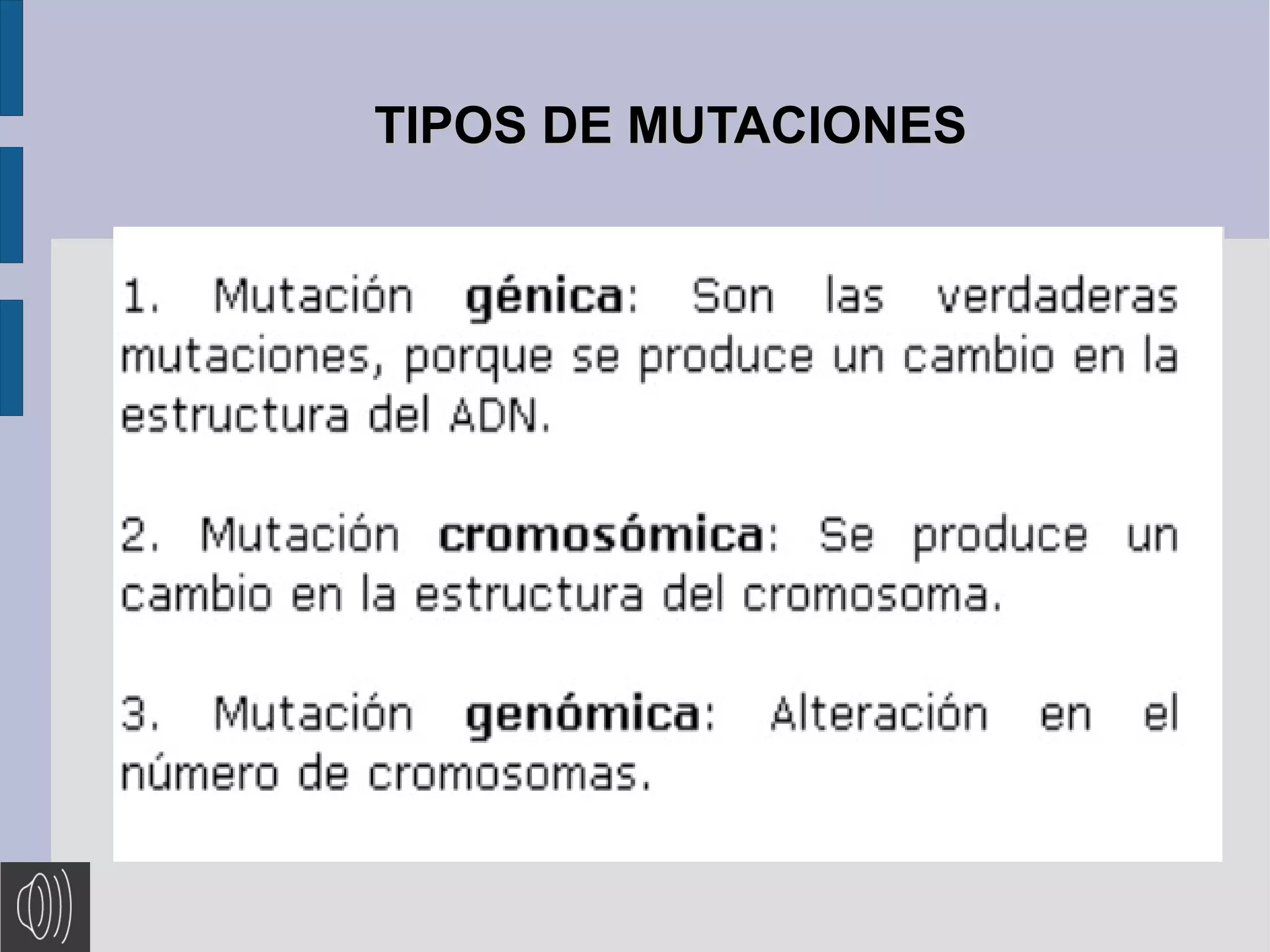 TIPOS DE MUTACIONES