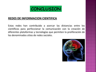 CONCLUSION
REDES DE INFORMACION CIENTIFICA
Estas redes han contribuido a acercar las distancias entre los
científicos para perfeccionar la comunicación con la creación de
diferentes plataformas y tecnologías que permiten la proliferación de
los denominados sitios de redes sociales.

 