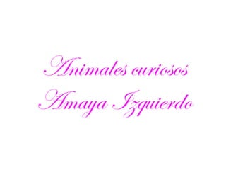 Animales curiosos
Amaya Izquierdo

 
