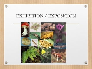 EXHIBITION / EXPOSICIÓN
 
