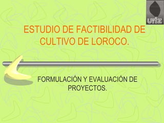 ESTUDIO DE FACTIBILIDAD DE
   CULTIVO DE LOROCO.


  FORMULACIÓN Y EVALUACIÓN DE
         PROYECTOS.
 