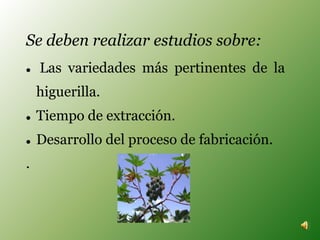 Se deben realizar estudios sobre:
 Las variedades más pertinentes de la
higuerilla.
 Tiempo de extracción.
 Desarrollo del proceso de fabricación.
.
 