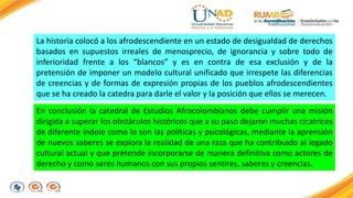 La historia colocó a los afrodescendiente en un estado de desigualdad de derechos 
basados en supuestos irreales de menosprecio, de ignorancia y sobre todo de 
inferioridad frente a los “blancos” y es en contra de esa exclusión y de la 
pretensión de imponer un modelo cultural unificado que irrespete las diferencias 
de creencias y de formas de expresión propias de los pueblos afrodescendientes 
que se ha creado la catedra para darle el valor y la posición que ellos se merecen. 
En conclusión la catedral de Estudios Afrocolombianos debe cumplir una misión 
dirigida a superar los obstáculos históricos que a su paso dejaron muchas cicatrices 
de diferente índole como lo son las políticas y psicológicas, mediante la aprensión 
de nuevos saberes se explora la realidad de una raza que ha contribuido al legado 
cultural actual y que pretende incorporarse de manera definitiva como actores de 
derecho y como seres humanos con sus propios sentires, saberes y creencias. 
 