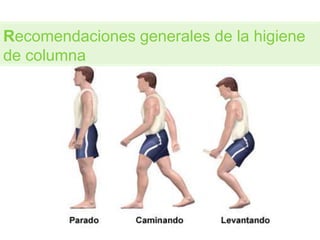 Recomendaciones generales de la higiene
de columna