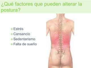 Estrés
Cansancio
Sedentarismo
Falta de sueño
¿Qué factores que pueden alterar la
postura?