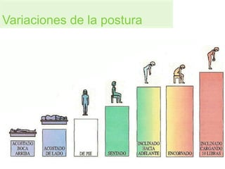 Variaciones de la postura