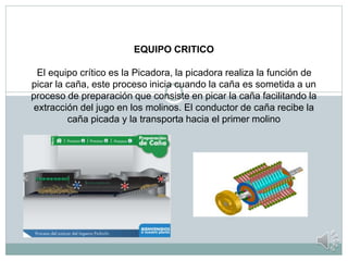 EQUIPO CRITICO
El equipo crítico es la Picadora, la picadora realiza la función de
picar la caña, este proceso inicia cuando la caña es sometida a un
proceso de preparación que consiste en picar la caña facilitando la
extracción del jugo en los molinos. El conductor de caña recibe la
caña picada y la transporta hacia el primer molino
 