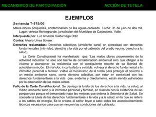 EJEMPLOS
Sentencia T-975/00
Malos olores porqueriza, contaminación de las aguas-cableado. Fecha: 31 de julio de dos mil.
Lugar: vereda Montegrande, jurisdicción del Municipio de Caicedonia, Valle.
Interpuesta por: Luz Amanda Saldarriaga Ortiz
Contra: Alvaro Urrea Botero
Derechos reclamados: Derechos colectivos (ambiente sano) en conexidad con derechos
fundamentales (intimidad, derecho a la vida por el cableado del predio vecino, derecho a la
salud).
La Corte Constitucional ha manifestado que: ¨Los malos olores provenientes de la
actividad industrial no sólo son fuente de contaminación ambiental sino que obligan a la
víctima a abandonar su residencia con el consiguiente recorte de su libertad de
autodeterminación. El mal olor, incontrolado y evitable, vulnera el derecho fundamental a la
intimidad personal o familiar. Viable el mecanismo de la tutela para proteger el derecho a
un medio ambiente sano, como derecho colectivo, por estar en conexidad con los
derechos fundamentales a la vida que, evidente y directamente, están siendo vulnerados
por la emanación de los malos olores.
Fallo de la Corte Constitucional: Se deniega la tutela de los derechos a la vida, la salud, al
medio ambiente sano y la intimidad personal y familiar, en relación con la existencia de las
porquerizas porque el demandado hace las mejoras que ordena la Secretaría de Salud. Se
concede la tutela de los derechos fundamentales a la vida y a la salud, en lo que se refiere
a los cables de energía. Se le ordena al señor llevar a cabo todos los acondicionamiento
técnicos necesarios para que se mejoren las condiciones del cableado.
MECANISMOS DE PARTICIPACIÓN ACCIÓN DE TUTELA
 