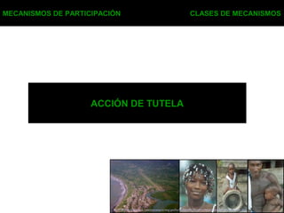 ACCIÓN DE TUTELA
MECANISMOS DE PARTICIPACIÓN CLASES DE MECANISMOS
http://galeon.hispavista.com/cocomacia/img/grafico%20trio%20con%20panoramica%20y%20gente.jpg
 