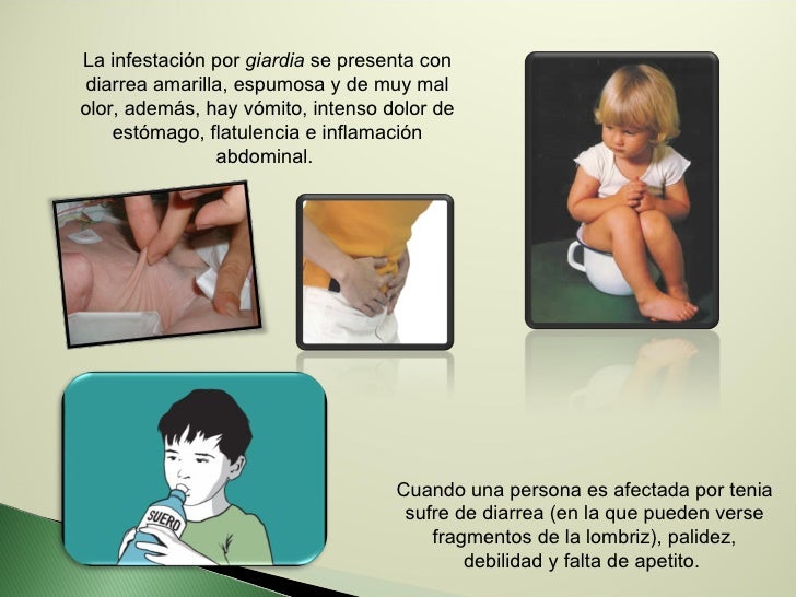 El test de la presencia de los parásitos en el organismo de la persona