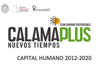 CAPITAL	
  HUMANO	
  2012-­‐2020	
  
 