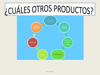 MAPA
                           CONCEPTUAL



     CUADRO                                      MAPAS
    SINÓPTICO                                    MENTALES




                                                     ENTREVISTAS
TRÍPTICOS                                            O INFORMES
                                                          DE
                                                     ENTREVISTAS




                PODCATS                 PORTAFOLIO




                          Luis Carrera
 