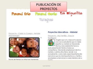 PUBLICACIÓN DE
  PROYECTOS




   Luis Carrera
 