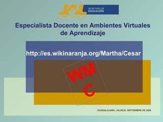 Especialista Docente en Ambientes Virtuales de Aprendizaje http://es.wikinaranja.org/Martha/Cesar GUADALAJARA, JALISCO, SEPTIEMBRE DE 2009 WMC 