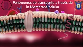 Fenómenos de transporte a través de
la Membrana celular
Click to add text
 