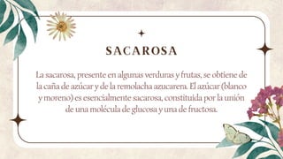 La sacarosa, presente en algunas verduras y frutas, se obtiene de
la caña de azúcar y de la remolacha azucarera. El azúcar (blanco
y moreno) es esencialmente sacarosa, constituida por la unión
de una molécula de glucosa y una de fructosa.
SACAROSA
 