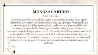 MONOSACÁRIDOS
Los monosacáridos se clasifican según la naturaleza química de su grupo
carbonilo y del número de átomos de carbono que poseen. Atendiendo a la
naturaleza química del grupo funcional carbonílico, si éste es aldehído el
monosacárido recibe el nombre genérico de aldosa, y si es cetónico el
monosacárido e le designa como cetosa. Dependiendo del número de átomos de
carbono de la molécula, los monosacáridos se denominan triosas, tetrosas,
pentosas, hexosas, etc. cuando contienen tres, cuatro, cinco, seis, etc. átomos de
carbono. Se conocen en la naturaleza monosacáridos de hasta 8 átomos de
carbono.
C a r b o h i d r a t o s
 