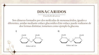 DISACARIDOS
Son dímeros formados por dos moléculas de monosacáridos, iguales o
diferentes, unidas mediante enlace glucosídico.Este enlace puede realizarse de
dos formas distintas; tomemos como ejemplo la glucosa.
C a r b o h i d r a t o s
 