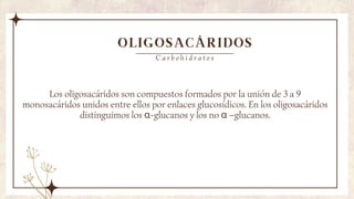 OLIGOSACÁRIDOS
Los oligosacáridos son compuestos formados por la unión de 3 a 9
monosacáridos unidos entre ellos por enlaces glucosídicos. En los oligosacáridos
distinguimos los α-glucanos y los no α –glucanos.
C a r b o h i d r a t o s
 