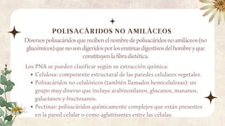 Diversos polisacáridos que reciben el nombre de polisacáridos no amiláceos (no
glucémicos) que no son digeridos por los enzimas digestivos del hombre y que
constituyen la fibra dietética.
POLISACÁRIDOS NO AMILÁCEOS
Los PNA se pueden clasificar según su extracción química:
Celulosa: componente estructural de las paredes celulares vegetales.
Polisacáridos no celulósicos (también llamados hemicelulosas): un
grupo muy diverso que incluye arabinoxilanos, glucanos, mananos,
galactanos y fructosanos.
Pectinas: polisacáridos químicamente complejos que están presentes
en la pared celular o como aglutinantes entre las células.
 