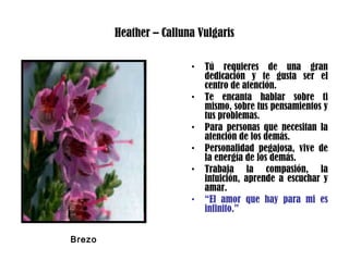 Heather – Calluna Vulgaris
• Tú requieres de una gran
dedicación y te gusta ser el
centro de atención.
• Te encanta hablar sobre ti
mismo, sobre tus pensamientos y
tus problemas.
• Para personas que necesitan la
atención de los demás.
• Personalidad pegajosa, vive de
la energía de los demás.
• Trabaja la compasión, la
intuición, aprende a escuchar y
amar.
• “El amor que hay para mi es
infinito.”
Brezo
 