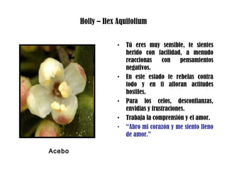 Holly – Ilex Aquifolium
• Tú eres muy sensible, te sientes
herido con facilidad, a menudo
reaccionas con pensamientos
negativos.
• En este estado te rebelas contra
todo y en ti afloran actitudes
hostiles.
• Para los celos, desconfianzas,
envidias y frustraciones.
• Trabaja la comprensión y el amor.
• “Abro mi corazón y me siento lleno
de amor.”
Acebo
 