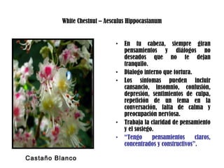 White Chestnut – Aesculus Hippocastanum
• En tu cabeza, siempre giran
pensamientos y diálogos no
deseados que no te dejan
tranquilo.
• Dialogo interno que tortura.
• Los síntomas pueden incluir
cansancio, insomnio, confusión,
depresión, sentimientos de culpa,
repetición de un tema en la
conversación, falta de calma y
preocupación nerviosa.
• Trabaja la claridad de pensamiento
y el sosiego.
• “Tengo pensamientos claros,
concentrados y constructivos”.
Castaño Blanco
 