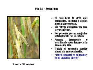 Wild Oat – Avena Fatua
• Tú estas lleno de ideas, eres
polifacético, talentoso y aspiras
a lograr algo especial.
• Nos entrega discernimiento para
lograr objetivos.
• Son personas que no congenian
habitualmente con su entorno.
• Presenta descontento e
incertidumbre por desconocer la
Misión en la Vida.
• Trabaja el encuentro consigo
mismo y la autorrealización.
• “Tengo confianza en mi mismo y
en mi sabiduría interior”.
Avena Silvestre
 