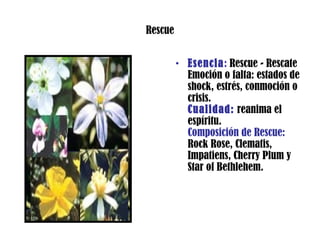 Rescue
• Esencia: Rescue - Rescate
Emoción o falta: estados de
shock, estrés, conmoción o
crisis.
Cualidad: reanima el
espíritu.
Composición de Rescue:
Rock Rose, Clematis,
Impatiens, Cherry Plum y
Star of Bethlehem.
 