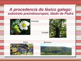 A procedencia do léxico galego: 
substrato preindoeuropeo, Idade de Pedra 
Amorodo 
Carballo 
Parra Barranco 
 