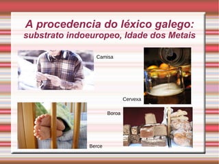 A procedencia do léxico galego: 
substrato indoeuropeo, Idade dos Metais 
Camisa 
Cervexa 
Berce 
Boroa 
 