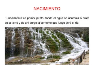 NACIMIENTO
El nacimiento es primer punto donde el agua se acumula o brota
de la tierra y de ahí surge la corriente que luego será el río.
 