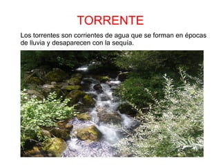 TORRENTE
Los torrentes son corrientes de agua que se forman en épocas
de lluvia y desaparecen con la sequía.
 