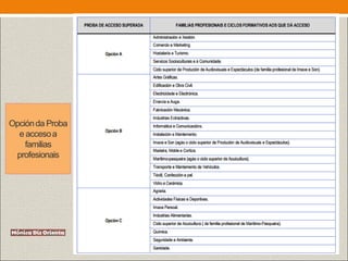 Opciónda Proba
e accesoa
familias
profesionais
 