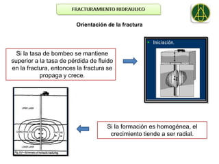 Orientación de la fractura




  Si la tasa de bombeo se mantiene
superior a la tasa de pérdida de fluido
en la fractura, entonces la fractura se
            propaga y crece.




                                    Si la formación es homogénea, el
                                     crecimiento tiende a ser radial.
 