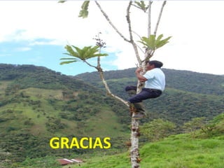 GRACIAS
 