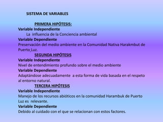 SISTEMA DE VARIABLES
PRIMERA HIPÓTESIS:
Variable Independiente
La influencia de la Conciencia ambiental
Variable Dependiente
Preservación del medio ambiente en la Comunidad Nativa Harakmbut de
Puerto Luz.
SEGUNDA HIPÓTESIS
Variable Independiente
Nivel de entendimiento profundo sobre el medio ambiente
Variable Dependiente
Adaptándose adecuadamente a esta forma de vida basada en el respeto
al entorno natural.
TERCERA HIPÓTESIS
Variable Independiente
Manejo de los recursos abióticos en la comunidad Harambuk de Puerto
Luz es relevante.
Variable Dependiente
Debido al cuidado con el que se relacionan con estos factores.
 