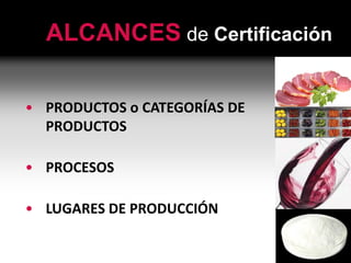 ALCANCES de Certificación
• PRODUCTOS o CATEGORÍAS DE
PRODUCTOS
• PROCESOS
• LUGARES DE PRODUCCIÓN
 