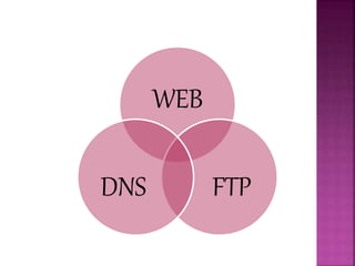 WEB
FTPDNS
 