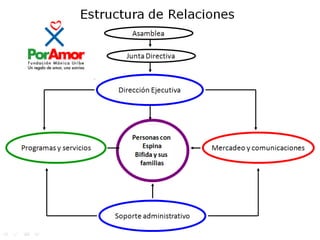 ¿Qué es la espina bífida?SERVICIONS QUE OFRECENSalud