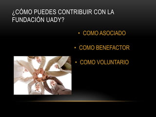 ¿CÓMO PUEDES CONTRIBUIR CON LA
FUNDACIÓN UADY?

                   • COMO ASOCIADO

                  • COMO BENEFACTOR

                  • COMO VOLUNTARIO
 
